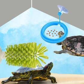 Jy-19 Homedy Crafts Turtle Brush With Suction Cup And Feeding Ring Tortoise Shell Tort