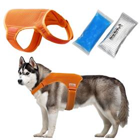 1270wo-2 Horay World Cooling Vest For Dogs - Dog With Innovative Packs L Or
