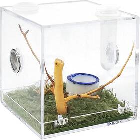 Hzlhzyy 767065520385 Acrylic Critter Keeper Jumping Spider Enclosure Snail 4x4x4 Inches Clear
