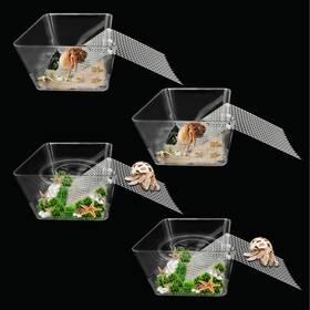 Hermitcrabtank-4 Iffitya 4 Packs Hermit Crab Water Tank - Ideal Pool Small Transparent