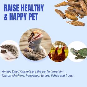Inc 313046968983 Appetizing Mealworms Natural Dried Crickets - Food For Bearded Dragons Wild