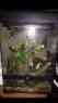 Includ200 Plants 18x18x24 Waterfall Temps Gages True Terrarium