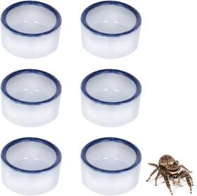 Hieafvc31 Innohhustle 6 Pcs Spider Mini Water Bowl Tarantula Micro Ceramic Dish For