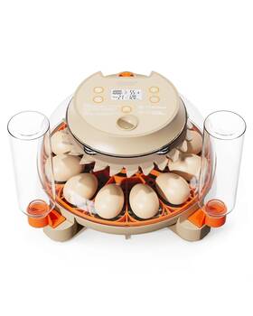 Is-ei001 Innsky Incubators For Hatching Eggs 12 Egg Incubator With Automatic Turni