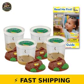 Insect Lore 735569402001 Funtastic 4 Cups Of Caterpillars - 20 Live