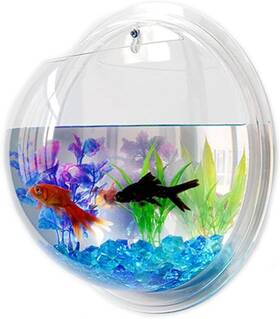 L49s41bllo8u199 Iplusmile Wall Fish Bowl 9 Inch Hanging Propagation Plant Pot Picture 1