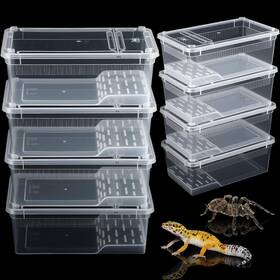 Dn-irenare-3627 Irenare 8 Pcs Reptile Breeding Box Plastic Spider Terrarium Tarantula Feeding For