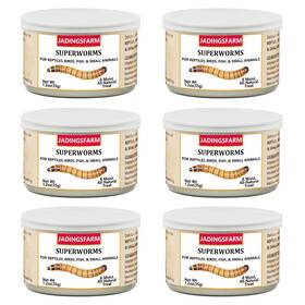 Jadingsfarm 747193027185 6 Pack Canned Superworms For Reptiles Fish Birds And Small Animal