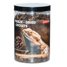 Jadingsfarm 747193073113 Freeze Dried Crickets 4.5 Oz High Protein Food For R