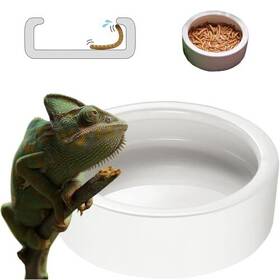 R-ax03-1 Jadwigas 5.1 In Reptile Food Dish Escape Proof Water Bowl X Large Ceramic Xlarge-1pack