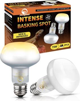 Jamgozoo 445005277225 Reptiles Uva Intense Basking Spot Light Bulbs 75w Incandescent Heat Lamp For Be