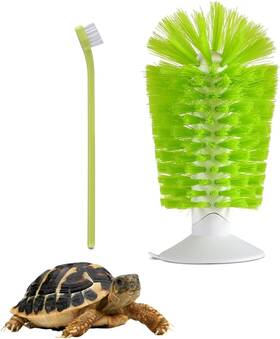 Jb 711182014814 Turtle Brush With Suction Cup Tank Accessories For Remove