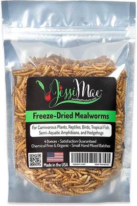 Jessi Mae 731722344393 Freeze Dried Mealworms - Natural Protein Meal For Chickens Birds Venus Fl