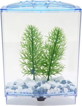 Jiawu3akpbrf2s45702-01 Jiawu Small Betta Fish Acrylic Aquarium Kit With Isolation Boards Blue Jiawu3akpbrf2s45702-01 Jiawu Small Betta Fish Acrylic Aquarium Kit With Isolation Boards Blue