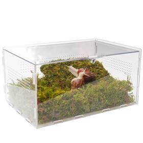 Jinymral 014679805132 Pet Snail Terrarium Kit With 11.22-inch X 7.87-inch 6-inch