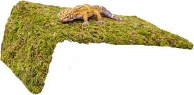 Jinymral 313020298235 Leopard Gecko Tank Accessories Adjustable Climbing Wall Toys Terrarium Habitat