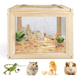 Cn-001 Jinzhenhong Reptile Terrarium Enclosure Lizard Leopard Gecko Tank With Openabl