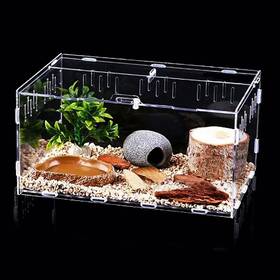 Jj0175 Jobede Jumping Spider Terrarium Reptile Tank Habitat With Locking Acrylic Feeding B