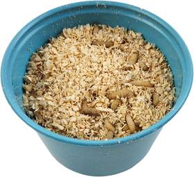 Joshs Frogs 853264006307 Waxworms 250 Count
