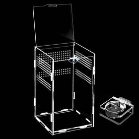 Jsd-008-lar Jsdito Jumping Spider Enclosure Acrylic 5.9x5.9x9.8 With Magnet Front Opening