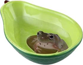 A077 Jslzf Ceramic Frog Water Bowl Terrarium Dish Habitat Tank Accessory Anti Tip
