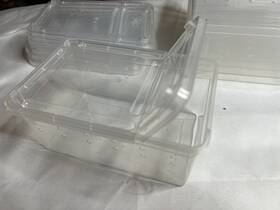 10806 Jungle Bob 8 Pk Bug And Isopod Breeder Box Clear Plastic Small Reptile Enclosure New