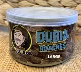 13382-24 Jungle Bob Enterprises Inc. Dubia Roaches In A Can Large 1.23oz - Case Of 24 Approx 25ct