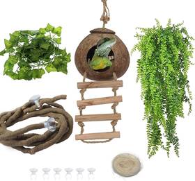 Kathson 313108845887 5 Pcs Lizard Coco Den With Ladder Bearded Dragon Tank Accessories Gecko
