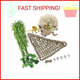 Kathson 445029650653 Reptile Habitat Skull Decoration Bearded Dragon Tank Accessories Resin H