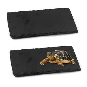 Gzq228-1 Kathson 2 Pcs Reptile Basking Platform 7.9 X 3.9 Inches Natural Rock Plate Turtle