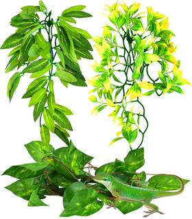 Pczjzw001 Katumo Reptile Plants 3 Pcs Amphibian Hanging With Suction Cup For Lizards