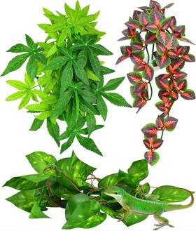 Pczjzw002 Katumo Reptile Plants 3 Pcs Amphibian Hanging With Suction Cup For Snake Be