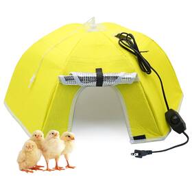 Ycs001 Khearpsl Large Chick Brooder Heating Plate Box 21.6 Inch Heat Up To 50