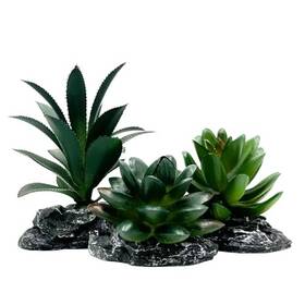 2024zz Kibun Reptile Artificial Plants Succulent Terrarium Decor Desert Dark-green-3pcs-se