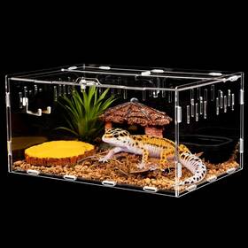 Kingrunning 445025252295 Reptile Tank 11.8 Inch X7.9 X5.9 Durable Acrylic Terrarium For Small Reptiles