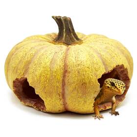 Rs-rh-0001-001 Kocris Casa Pumpkin Leopard Gecko Hide Reptile Bearded Dragon Tank Hideout Caves Accessor
