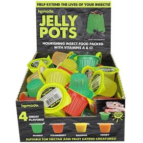 32132 Komodo Jelly Pots Fruit Nourishing Insect Food Packed With Vitamins A And C 40 Ct