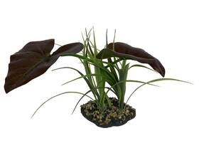 Komodo 784369932041 Rainforest Canopy Plant 1ea/10 In