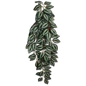 Komodo 784369933055 Zebrina Hanging Plant 1ea/lg 26 In