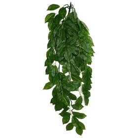 Komodo 784369933079 Green Leaf Hanging Plant 1ea/lg 26 In