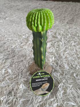 93325 Komodo Living Natural Moon Cactus Figurine Resin 7.5 In High Density Easy Clean
