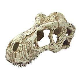Komodo Km93214 T-rex Skull - Large