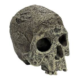 Km93220 Komodo Reptile Terrarium Realistic Textured Human Skull Ornament Decor Easy To