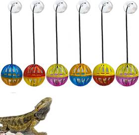 Koomduk 744759765482 6 Pack Bearded Dragon Toys Accessories Balls Bell Fit For Lizard Small Reptile Koomduk 744759765482 6 Pack Bearded Dragon Toys Accessories Balls Bell Fit For Lizard Small Reptile
