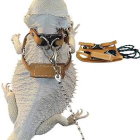 Harness1 Kunbiuh Bearded Dragon Harness And Leash Adjustable M L Xl - Soft Leather Reptile Li
