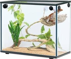 Kw-commerce 705353937743 Navaris Bearded Dragon Habitat Essentials - Tank Accessories Set Of 5 Reptile