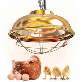 C300w Labodey 300 Watt Chicken Coop Heater Professional Heat Lamp For Chickens Chicks Ra