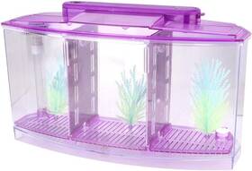 Jsn6gxybetsm-02 Lantro Js Isolation Mini Small Aquarium Desktop Transparent Fish Tank For Purple