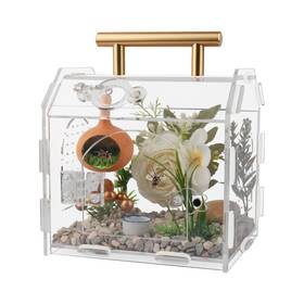 Yixingzz-2-us Leizhenzi Jumping Spider Enclosure Premium Acrylic - Ideal For Tarantu
