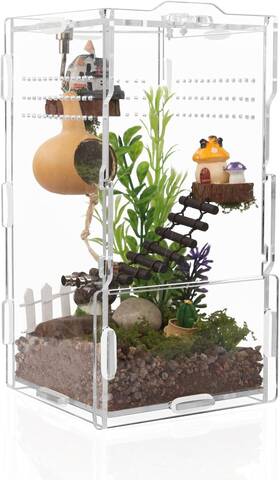 Yuankong-3-2 Leizhenzi 8x4x4in Vertical Acrylic Jumping Spider Enclosure Arboreal Tarantula And Reptile